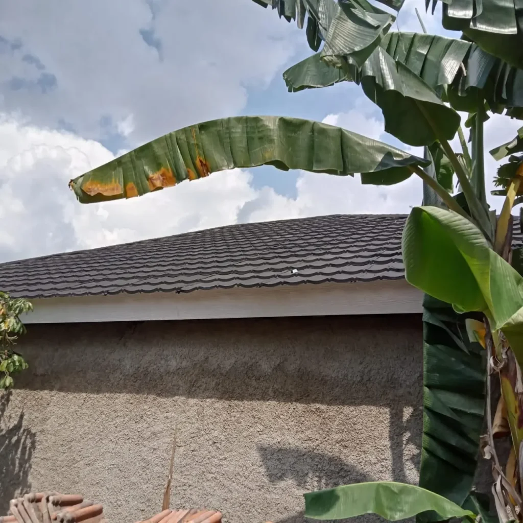 jasa tukang pasang atap baja ringan dan renovasi atap rumah - fendibajaringan 1133 jasa tukang pasang atap baja ringan dan renovasi atap rumah - fendibajaringan 1133